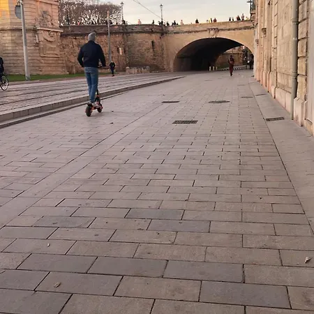 Rollin מלון 4*